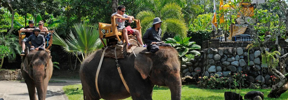 Bali Zoo 4 Bali Zoo 4