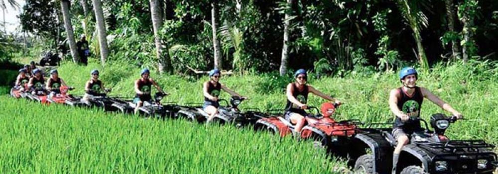 atv-rice-terrace-bali5