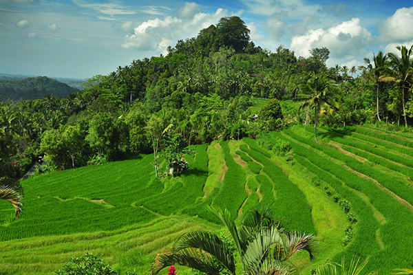 bukit-jambul-bali2